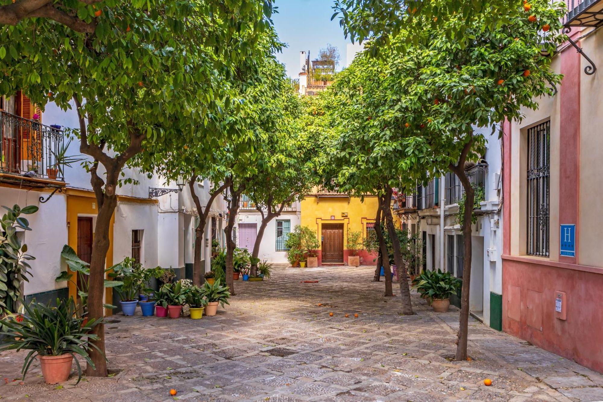 Encantador Apartamento A Un Paso De La Catedral — Photos 1
